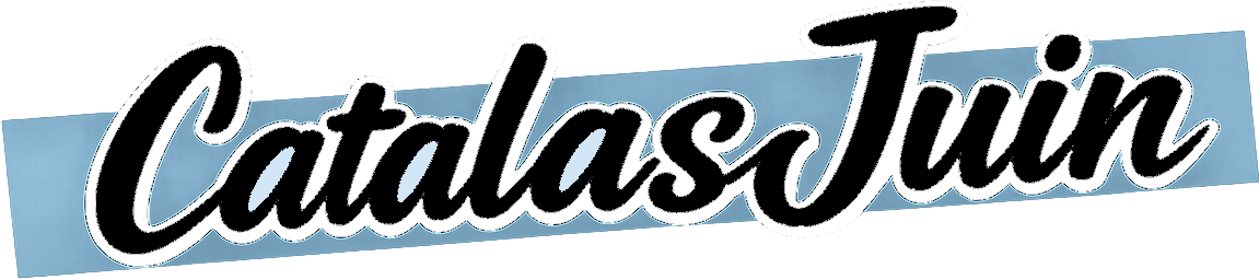 Gerardo Catalas | Backend Developer (.NET & SQL Server)